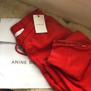 Anine Bing red track pants.